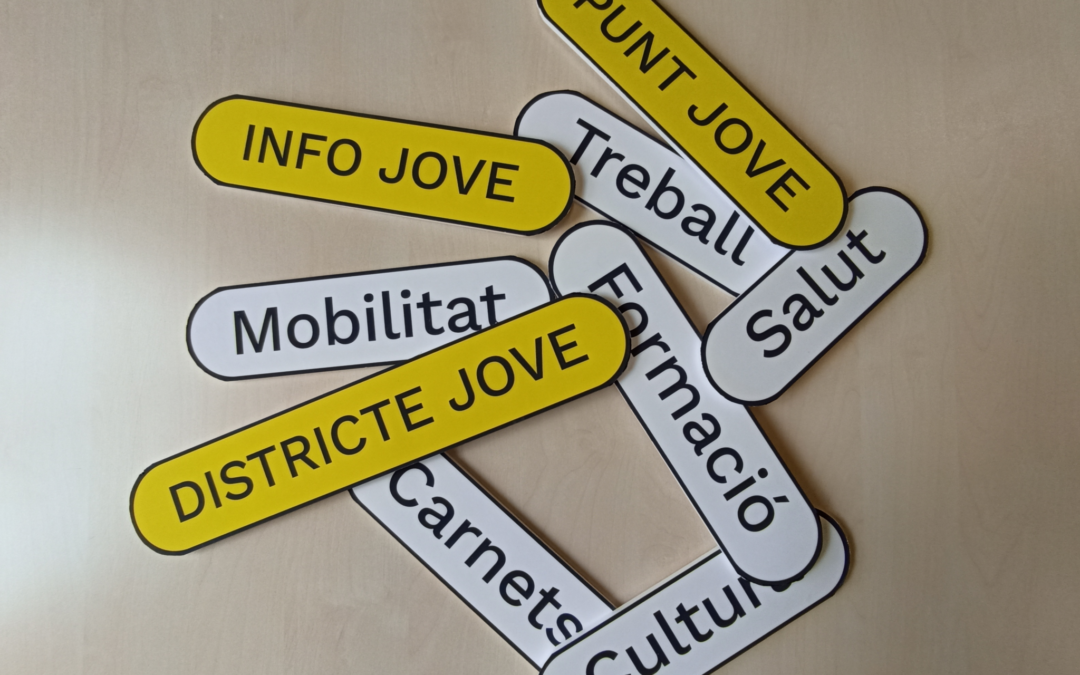 Formació comunitària a la Taula Tècnica de Joventut