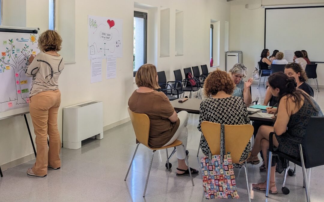 Acompanyament organitzatiu als serveis socials del Pla de l’Estany